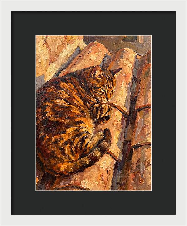 Tabby Cat Relaxing In Sunlight