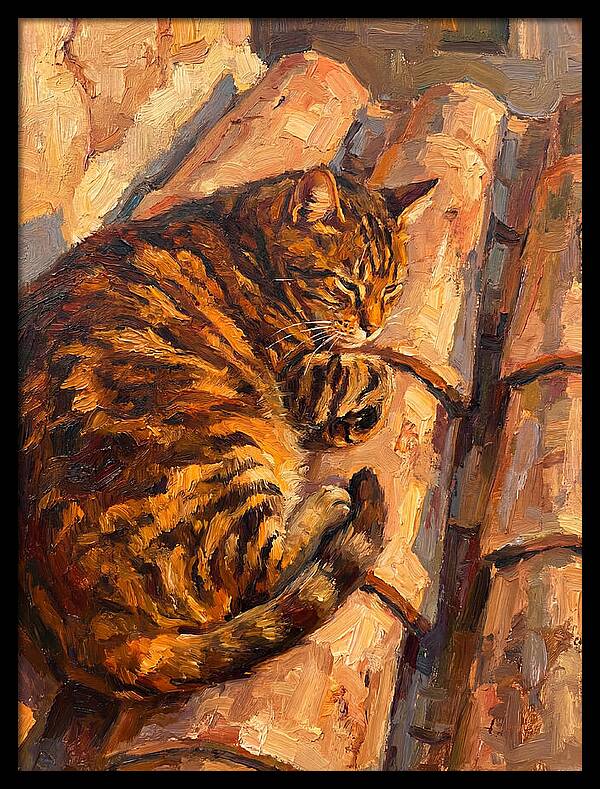 Tabby Cat Relaxing In Sunlight