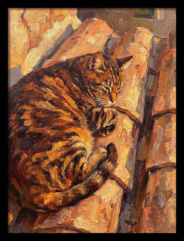 Tabby Cat Relaxing In Sunlight