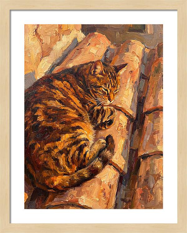 Tabby Cat Relaxing In Sunlight