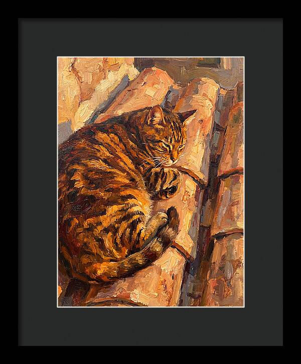Tabby Cat Relaxing In Sunlight