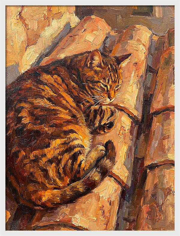Tabby Cat Relaxing In Sunlight