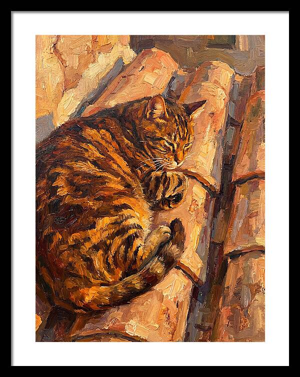 Tabby Cat Relaxing In Sunlight