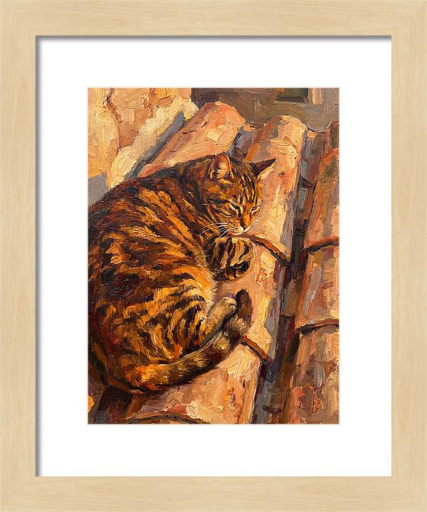 Tabby Cat Relaxing In Sunlight