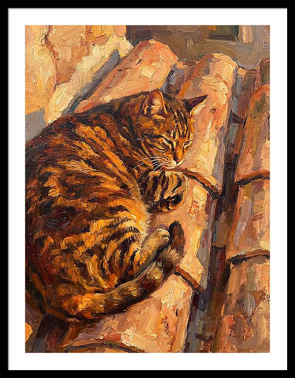Tabby Cat Relaxing In Sunlight