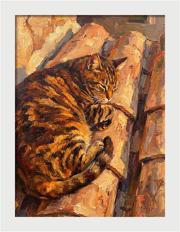 Tabby Cat Relaxing In Sunlight