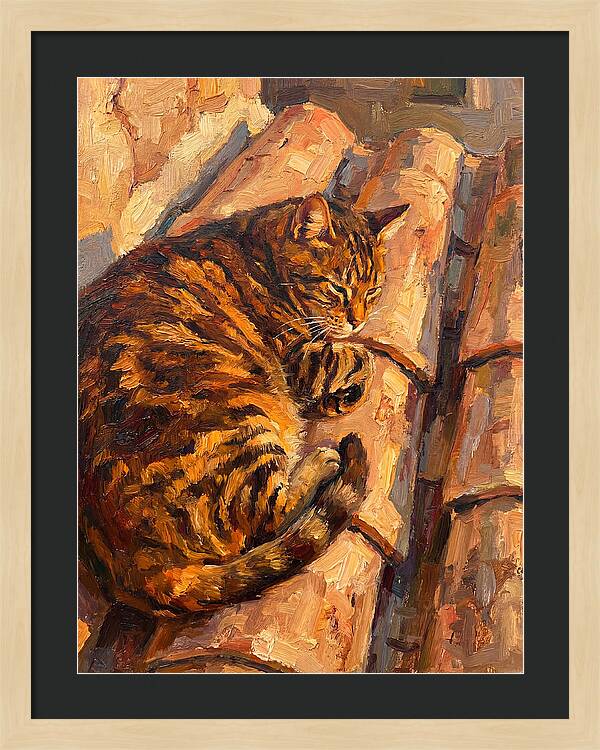 Tabby Cat Relaxing In Sunlight