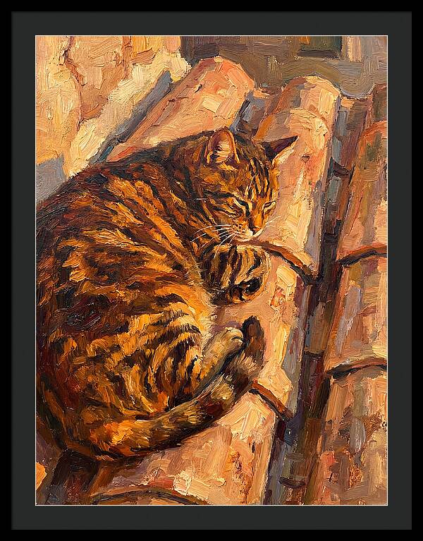 Tabby Cat Relaxing In Sunlight