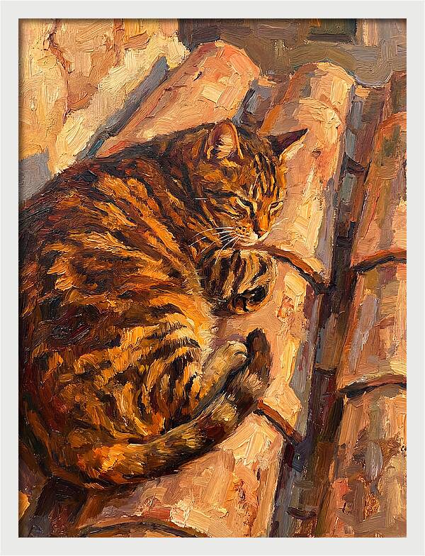 Tabby Cat Relaxing In Sunlight