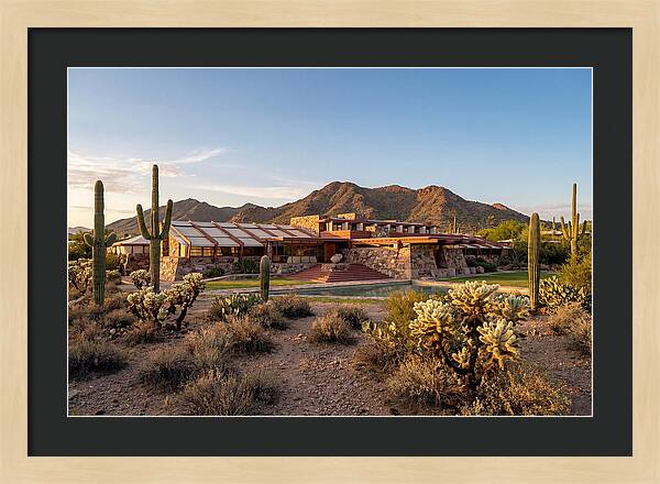 Taliesin West Landscape