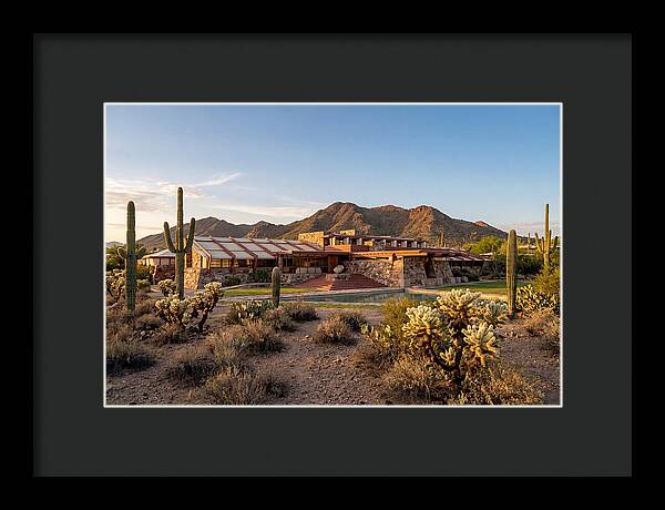 Taliesin West Landscape