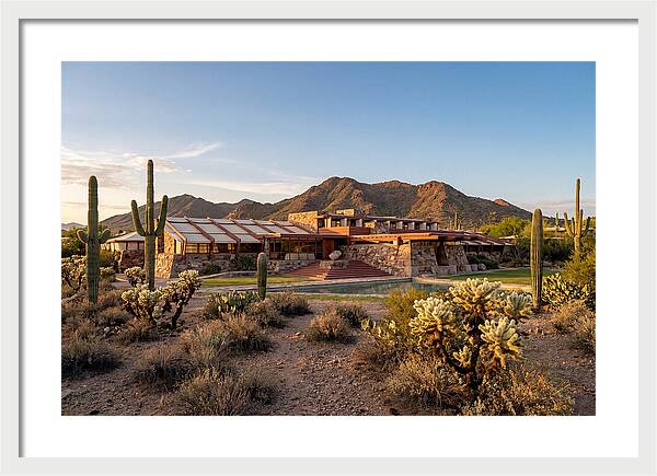 Taliesin West Landscape