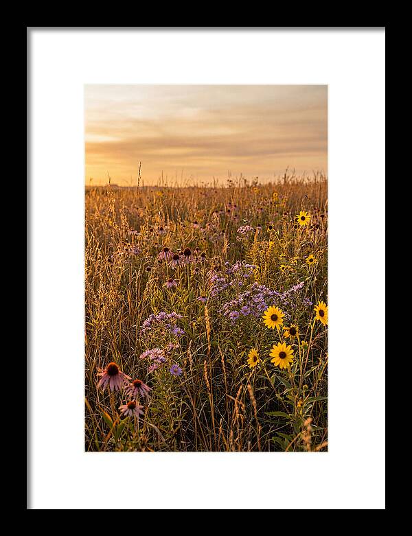 Tallgrass Prairie Serenity