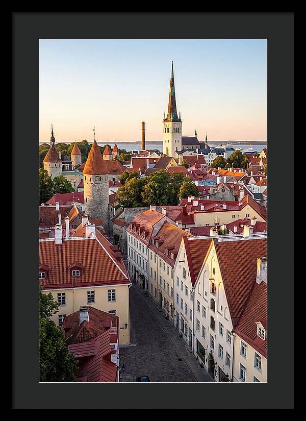 Tallinn Old Town At Golden Hour