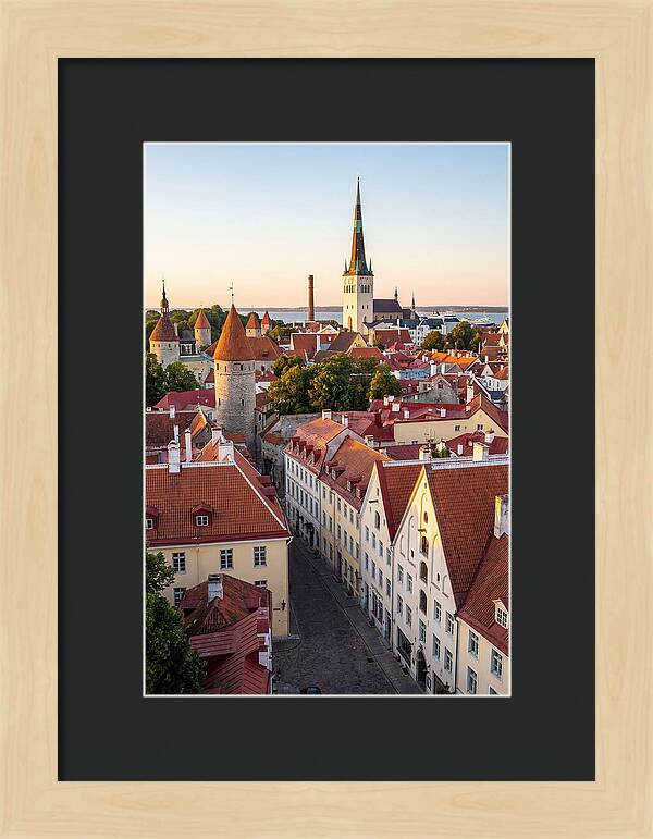 Tallinn Old Town At Golden Hour