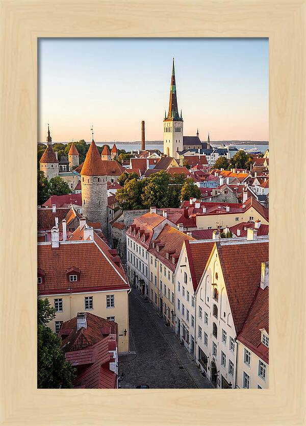 Tallinn Old Town At Golden Hour