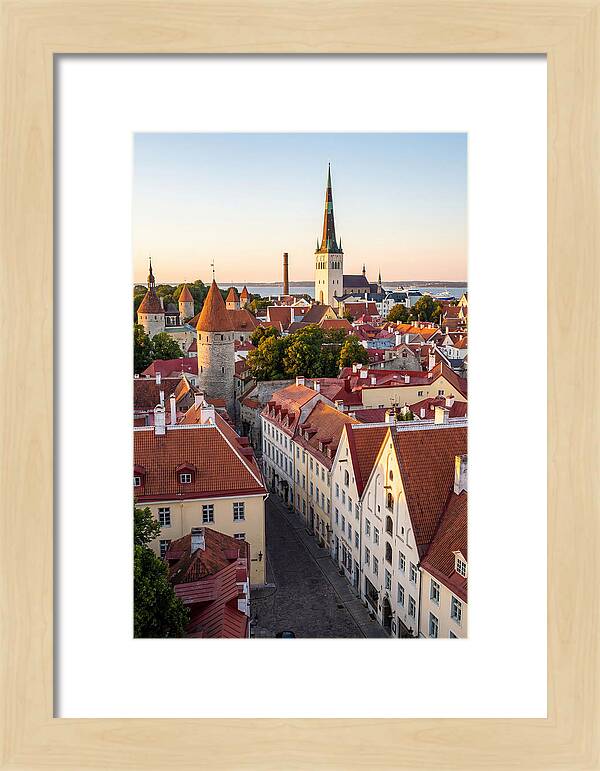 Tallinn Old Town At Golden Hour