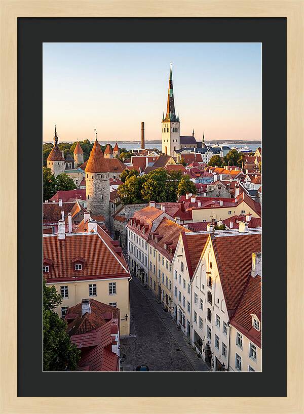 Tallinn Old Town At Golden Hour