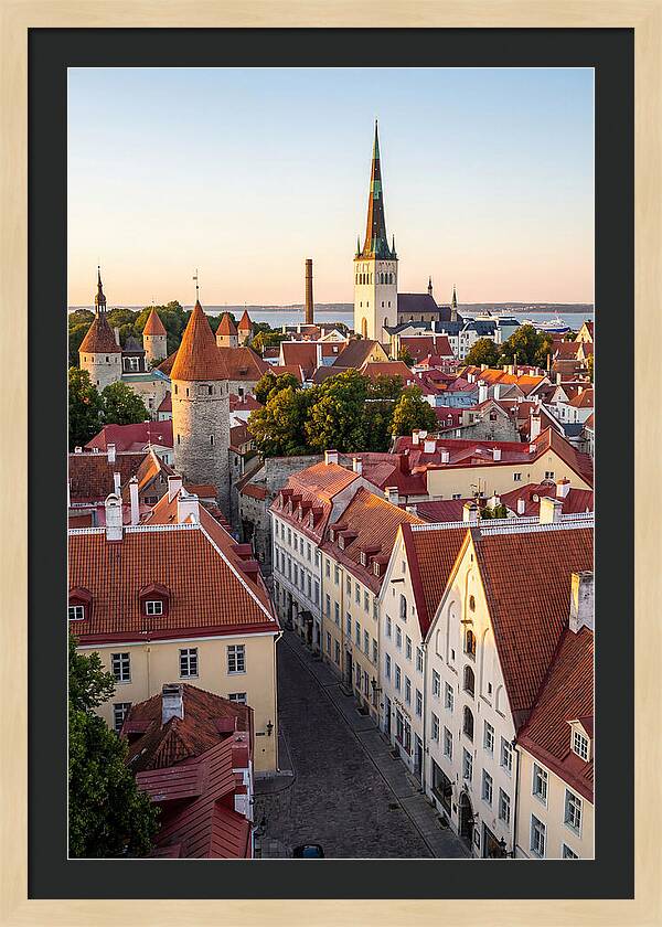Tallinn Old Town At Golden Hour
