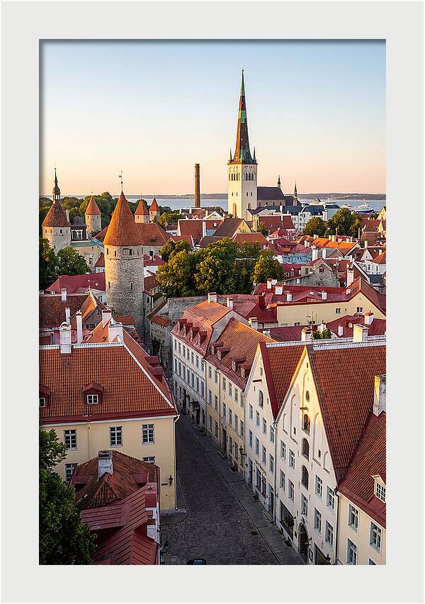 Tallinn Old Town At Golden Hour