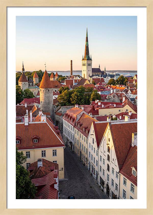Tallinn Old Town At Golden Hour