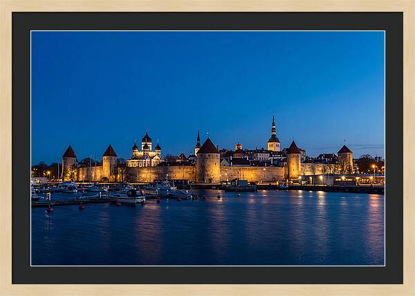 Tallinn Skyline At Blue Hour