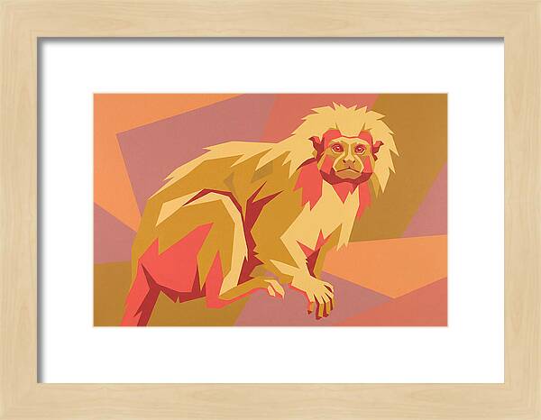 Tamarin Pop Art