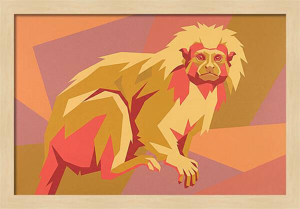 Tamarin Pop Art