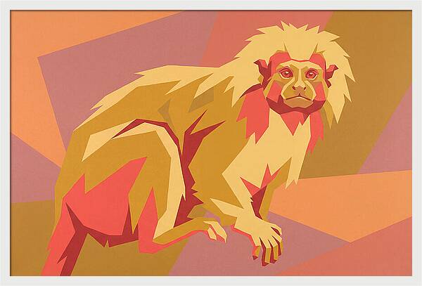 Tamarin Pop Art