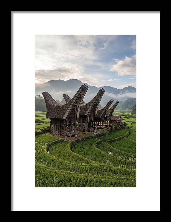 Tana Toraja Rice Terraces