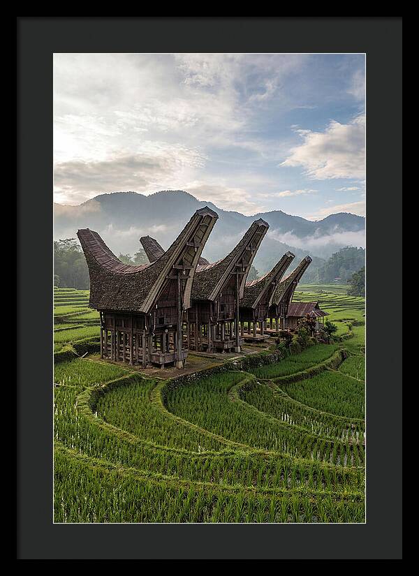 Tana Toraja Rice Terraces