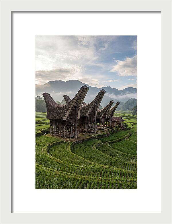 Tana Toraja Rice Terraces