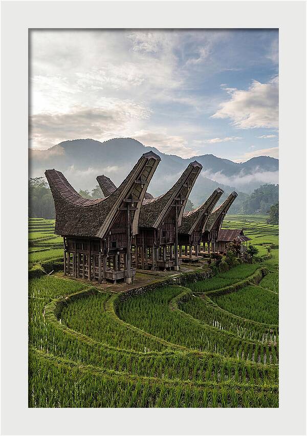 Tana Toraja Rice Terraces