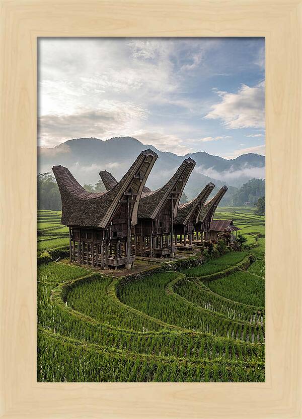 Tana Toraja Rice Terraces