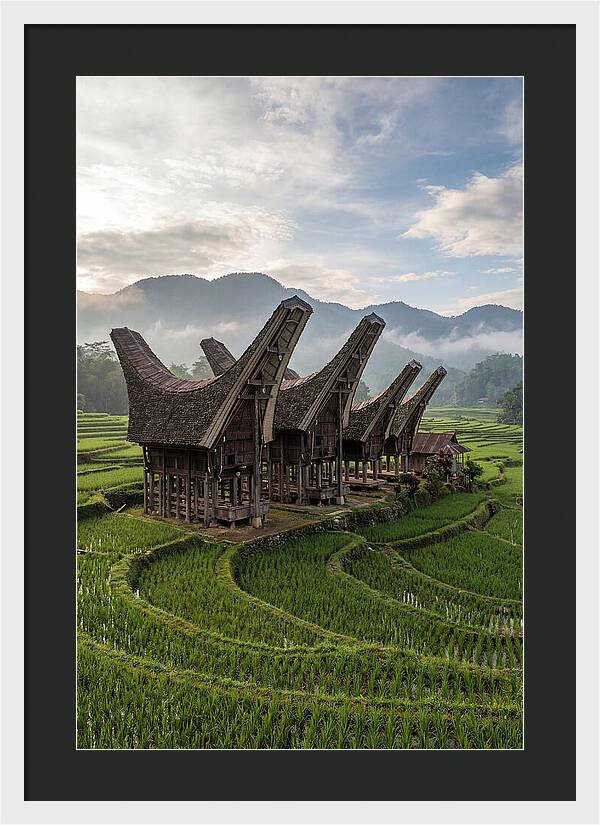Tana Toraja Rice Terraces
