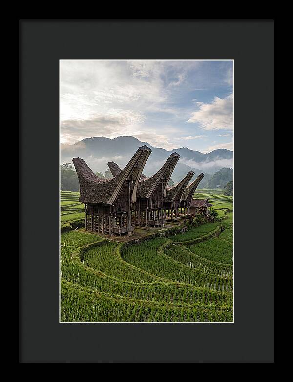 Tana Toraja Rice Terraces