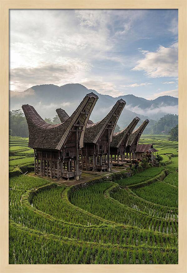Tana Toraja Rice Terraces