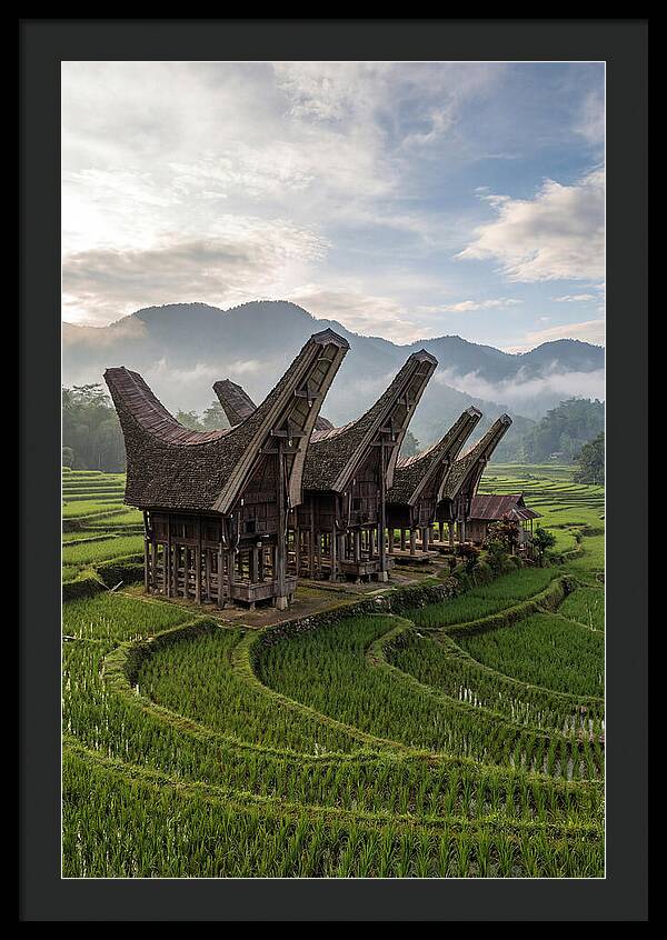 Tana Toraja Rice Terraces