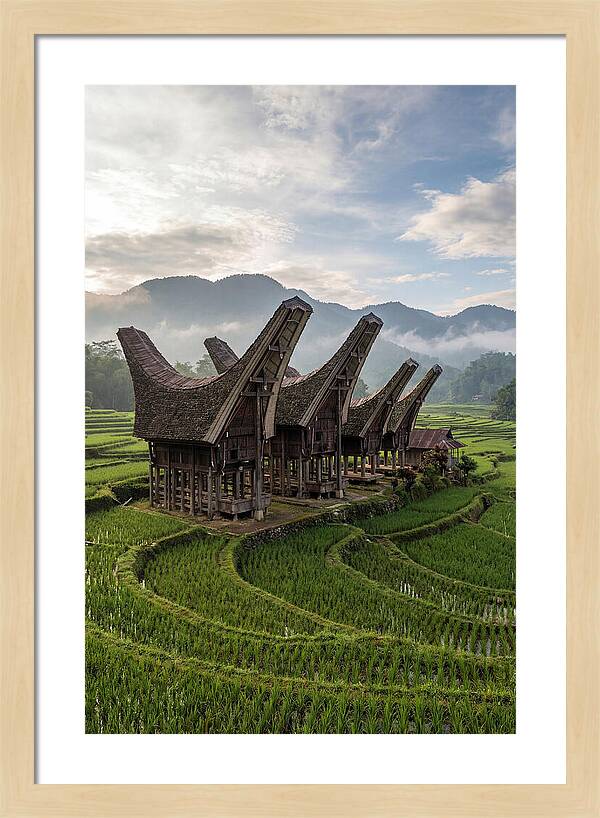 Tana Toraja Rice Terraces