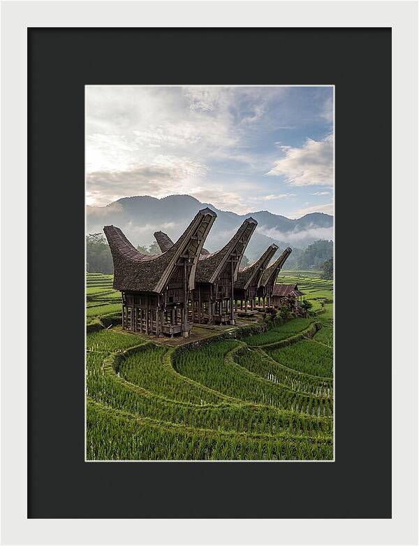 Tana Toraja Rice Terraces