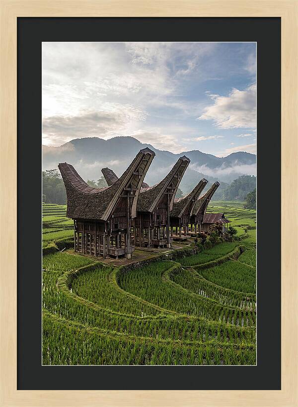 Tana Toraja Rice Terraces