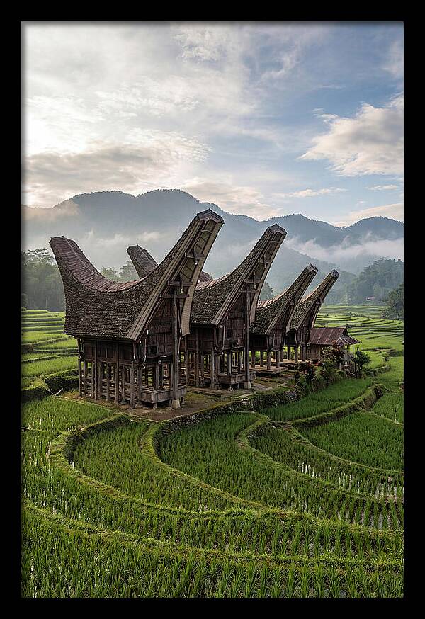 Tana Toraja Rice Terraces
