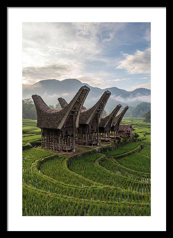 Tana Toraja Rice Terraces
