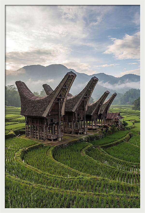 Tana Toraja Rice Terraces