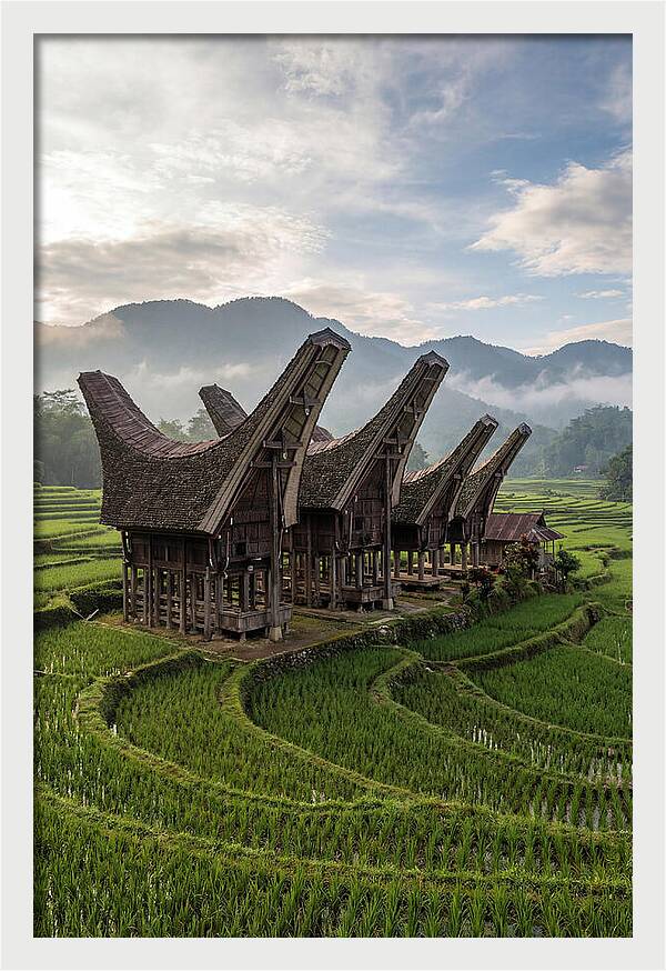 Tana Toraja Rice Terraces