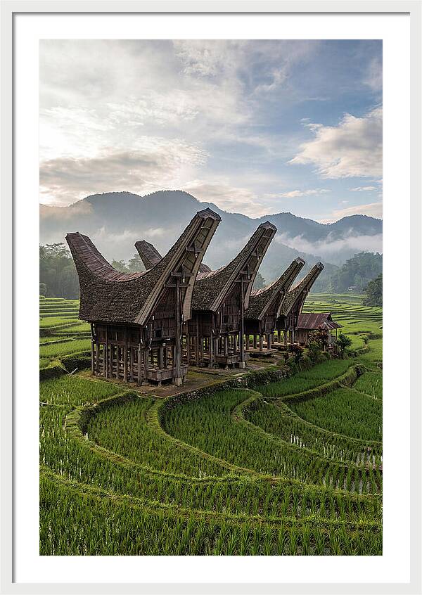 Tana Toraja Rice Terraces