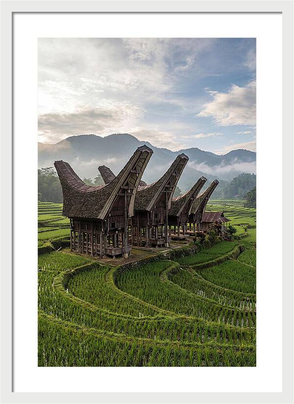 Tana Toraja Rice Terraces