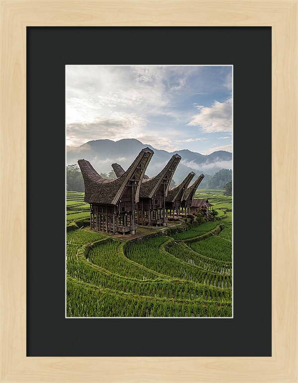 Tana Toraja Rice Terraces