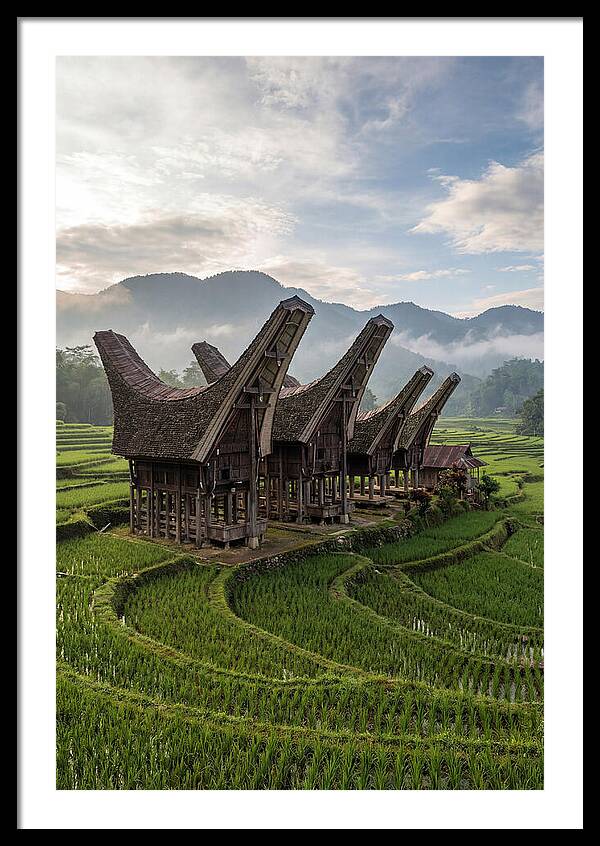 Tana Toraja Rice Terraces