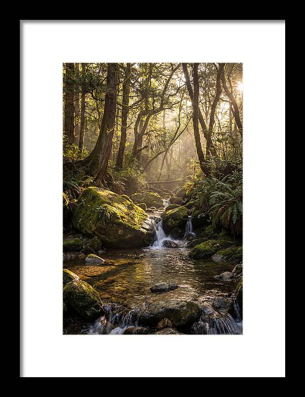 Tanyard Creek Serenity